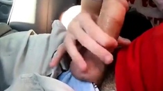Young Twink Sucks Dick In Car And Swallows